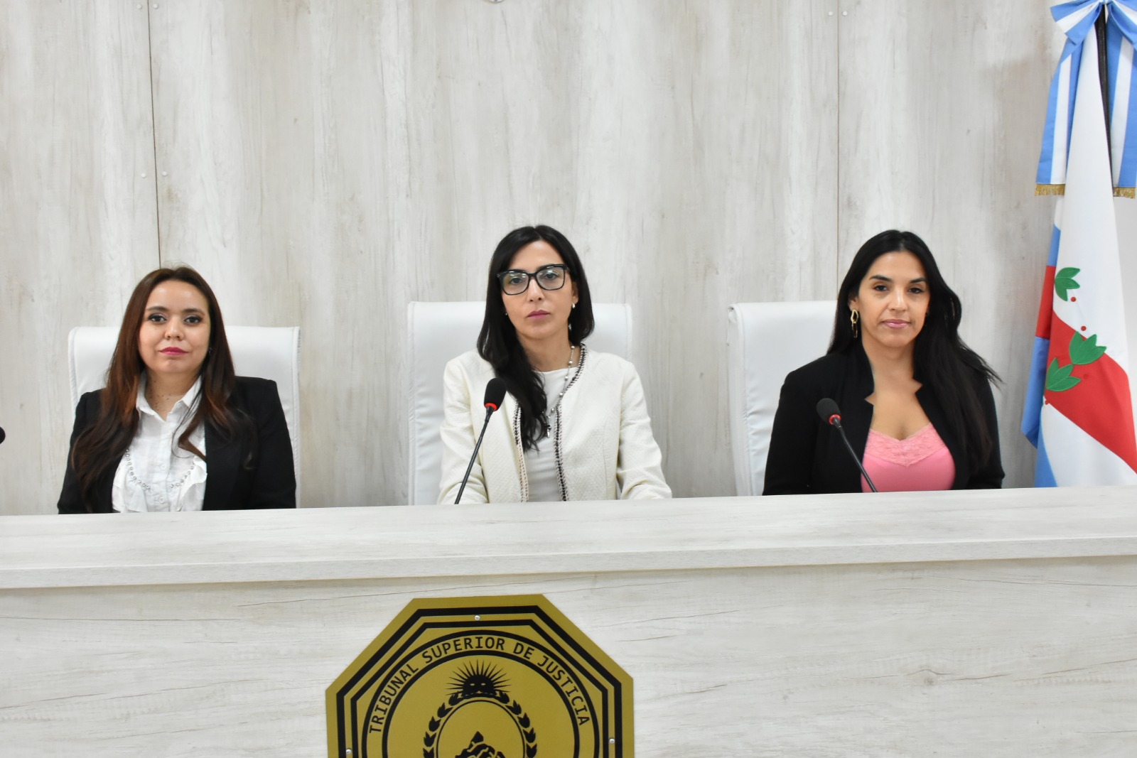 Juicio abuso sexual alegatos 1-04-12-25